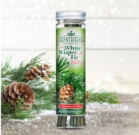 Scentsicles Christmas Ornaments with Hooks - 2 Pack