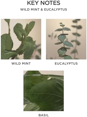 NEST New York Reed Diffuser - Wild Mint Eucalyptus