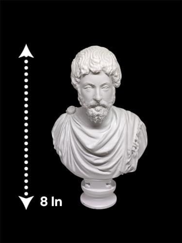 Marcus Aurelius Bust 3D Printed Sculpture 8 Inches