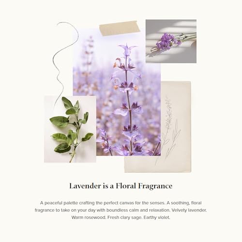 Thymes Home Fragrance Mist - Lavender Scented Air Freshener 3 oz