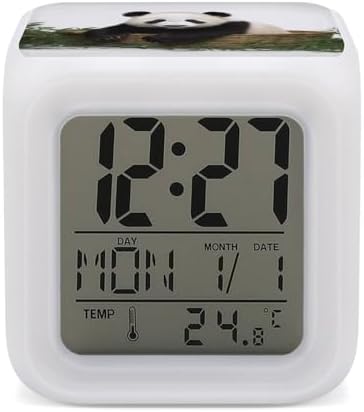 Panda Stars Alarm Clock with 7-Color Night Light