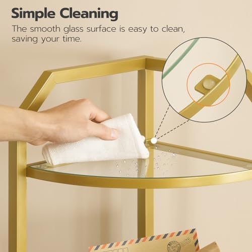 HOOBRO 5-Tier Corner Shelf Stand Gold Tempered Glass Modern Style GD15CJ01