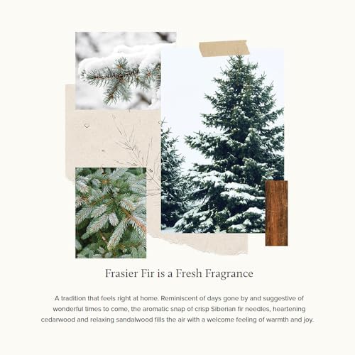 Thymes Frasier Fir Aromatherapy Oil 1 fl oz