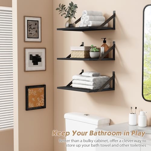 Forbena 3-Piece Black Floating Shelves for Wall