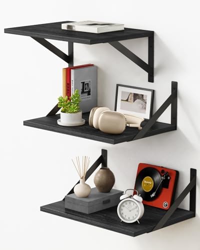 Forbena 3-Piece Black Floating Shelves for Wall