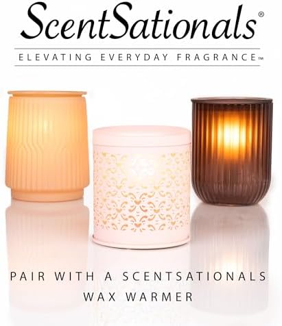 Scentsationals Wax Melts Cinnamon Apples 24-Cubes 10oz