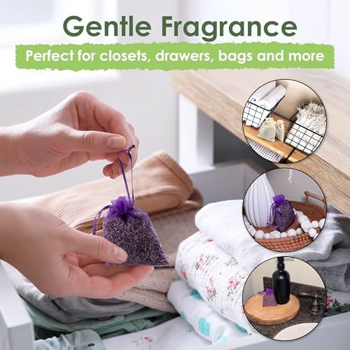 EcoKiwi Cedar Lavender Sachets 20 Pack for Home Freshness and Protection