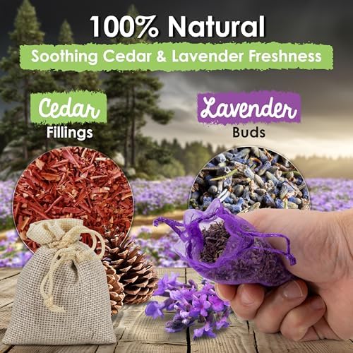 EcoKiwi Cedar Lavender Sachets 20 Pack for Home Freshness and Protection