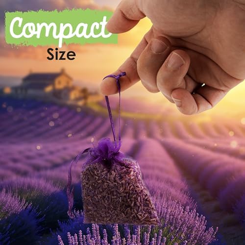 EcoKiwi Cedar Lavender Sachets 20 Pack for Home Freshness and Protection