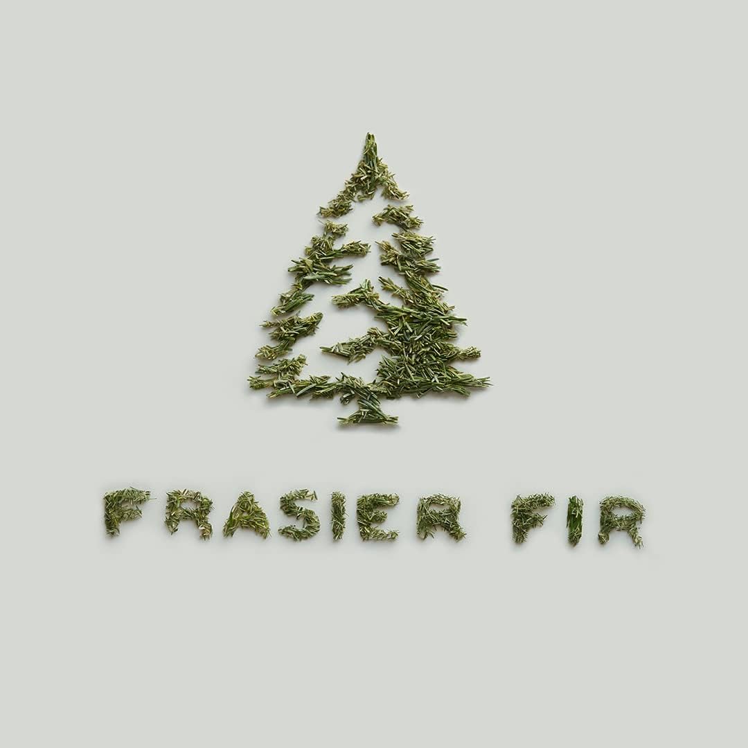 Thymes Frasier Fir Aromatherapy Oil 1 fl oz