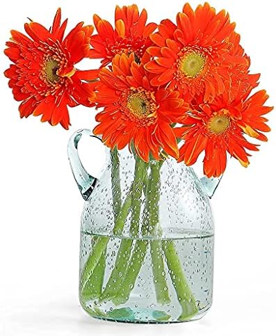 MDLUU Seeded Glass Vase with Double Ear Design