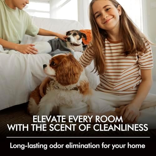 Azulfra Room Spray Odor Eliminator 3 Pack