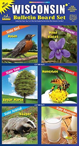 Gallopade Publishing Group Wisconsin Bulletin Board Set
