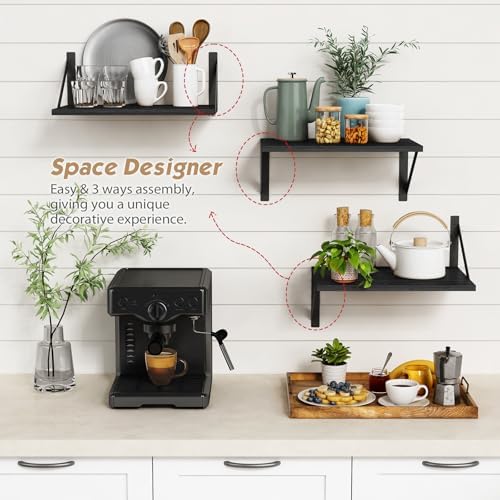 Forbena 3-Piece Black Floating Shelves for Wall