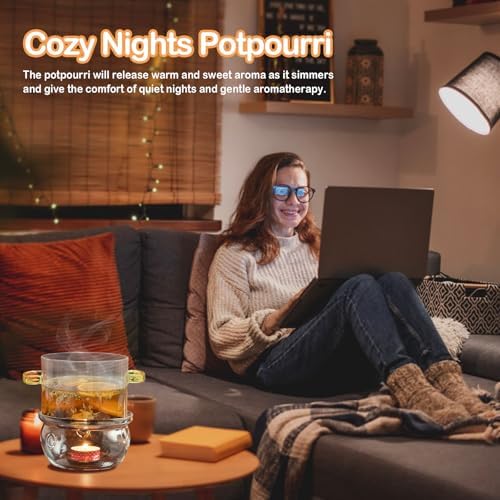 Cozy Nights Stovetop Potpourri with Cinnamon Ginger Lavender Anise Star and Orange