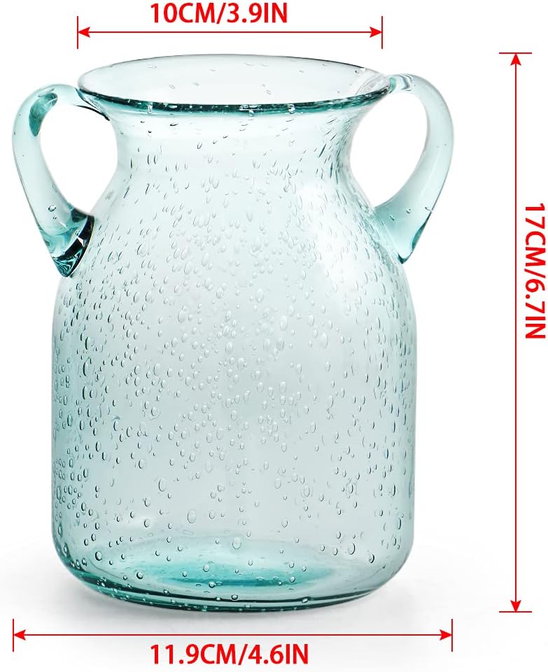 MDLUU Seeded Glass Vase with Double Ear Design
