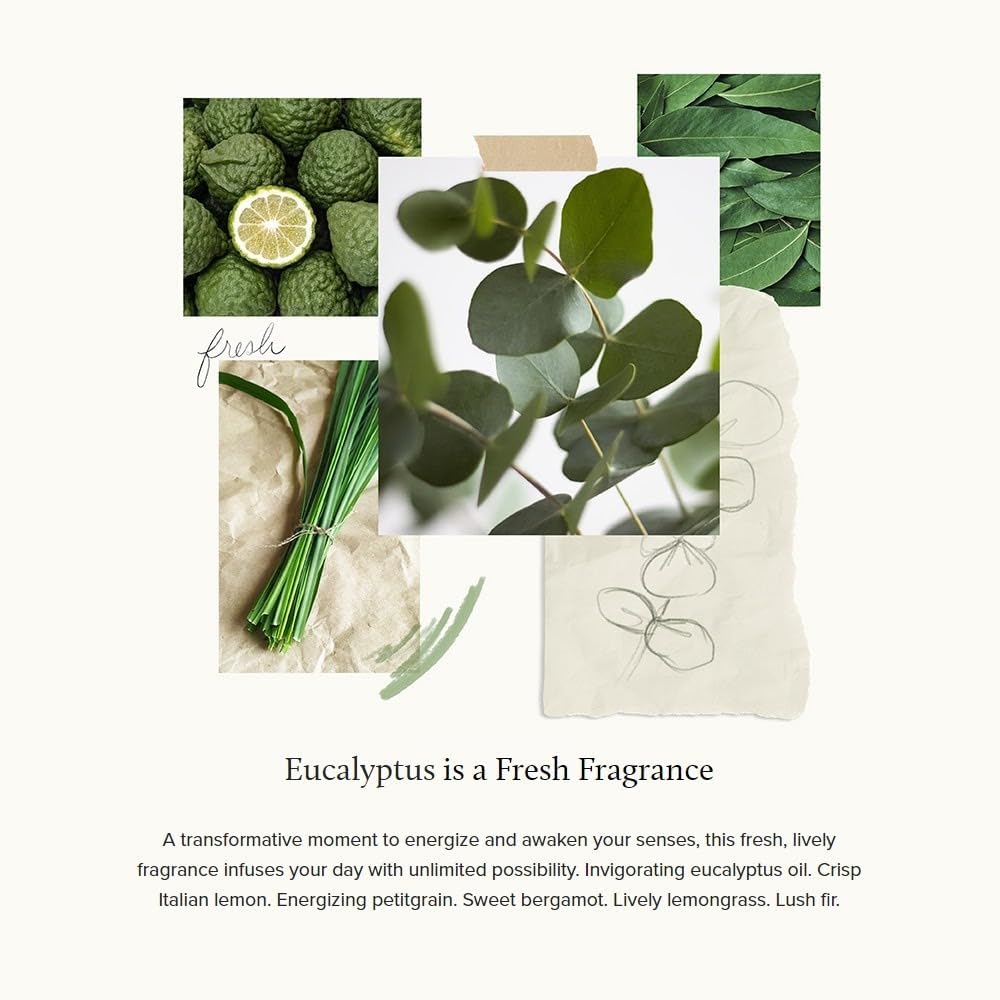 Thymes Home Fragrance Mist - Eucalyptus Lemon Scent
