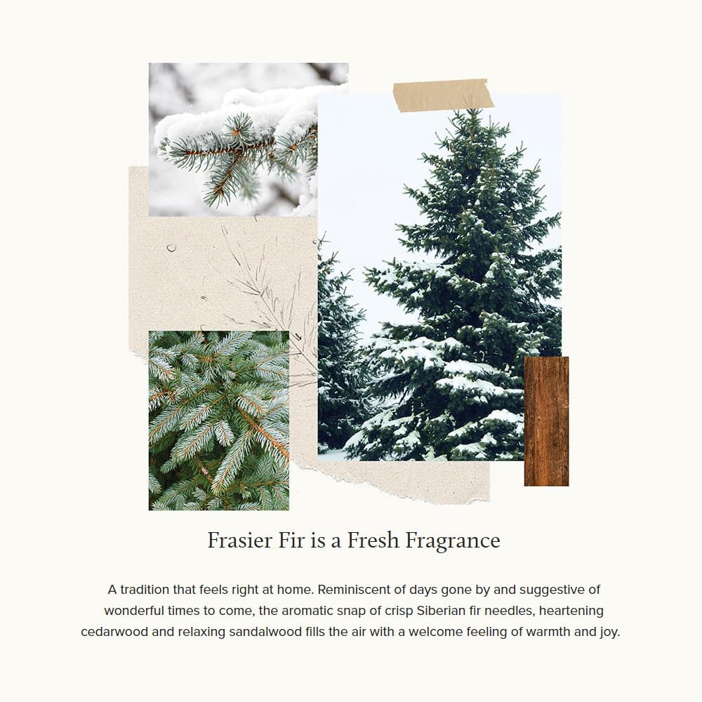 Thymes Frasier Fir Aromatherapy Oil 1 fl oz