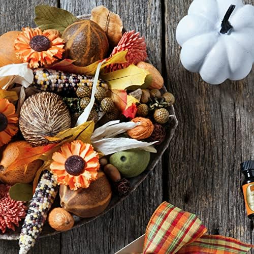 Aromatique Pumpkin Spice Potpourri Bag 11oz