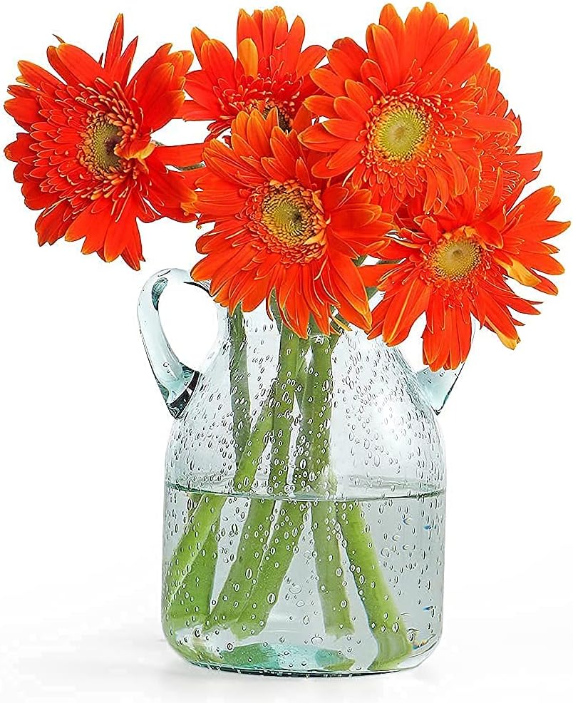 MDLUU Seeded Glass Vase with Double Ear Design