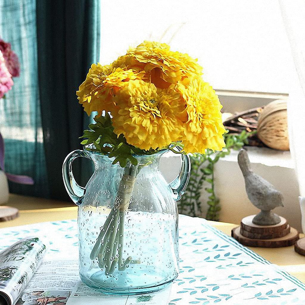 MDLUU Seeded Glass Vase with Double Ear Design