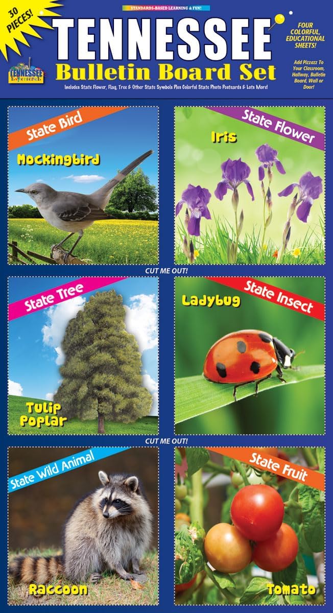 Gallopade Publishing Group Tennessee Bulletin Board Set