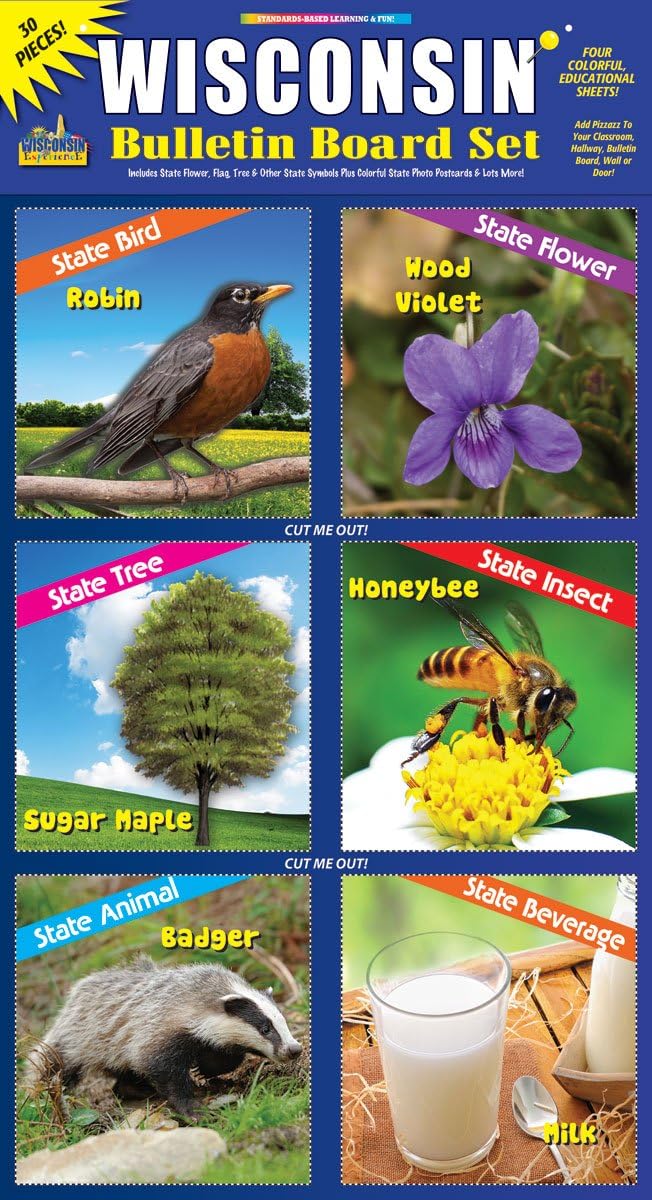 Gallopade Publishing Group Wisconsin Bulletin Board Set