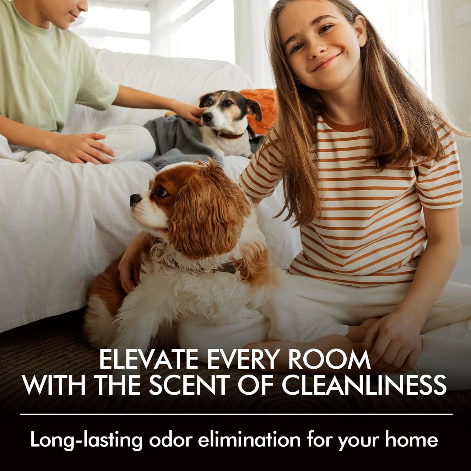 Azulfra Room Spray Odor Eliminator 3 Pack