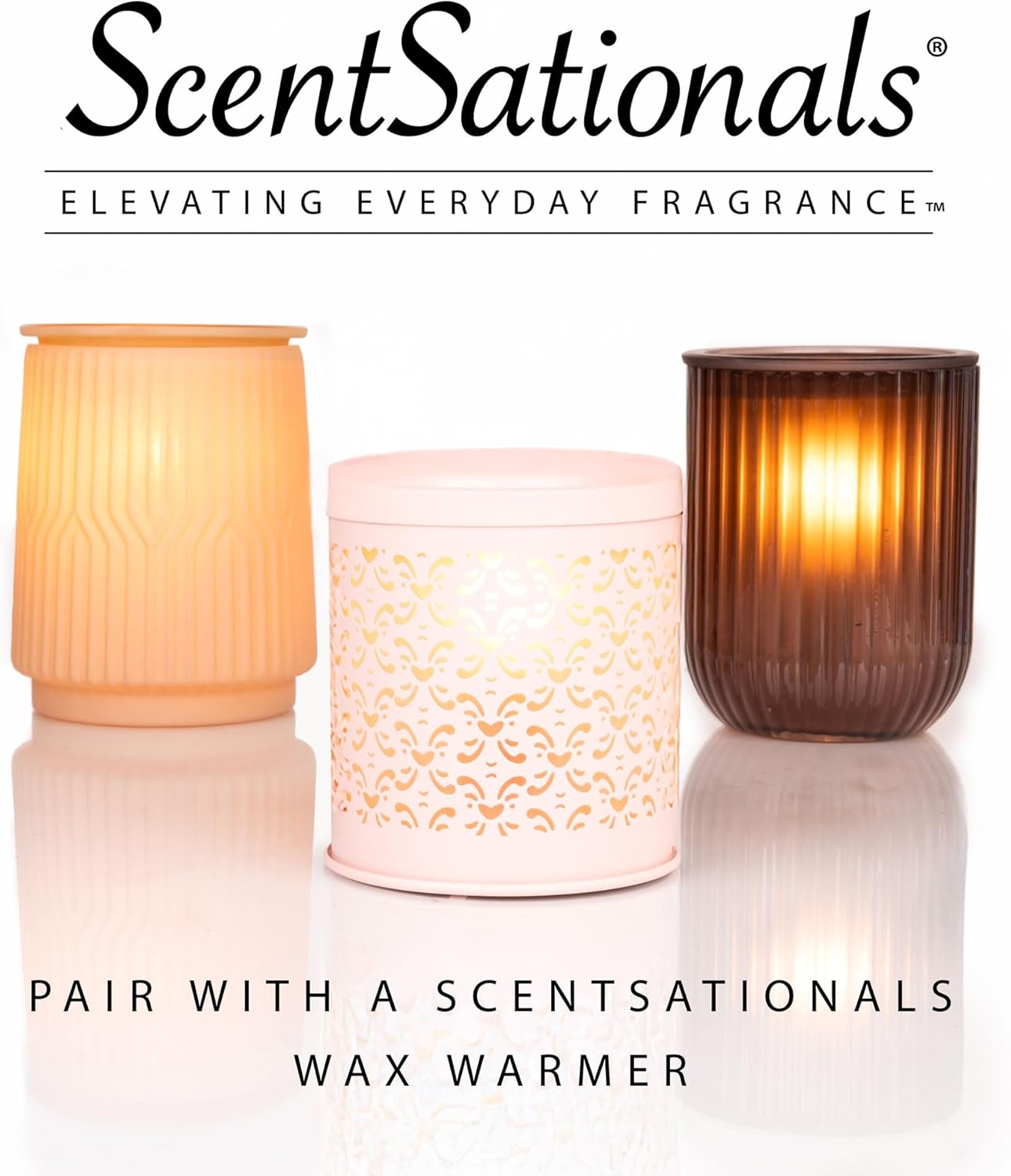 Scentsationals Wax Melts Cinnamon Apples 24-Cubes 10oz