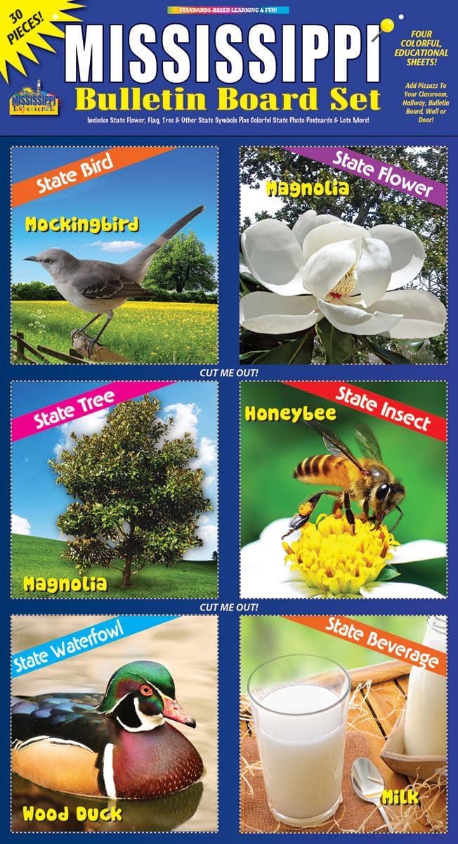 Gallopade Mississippi Bulletin Board Set