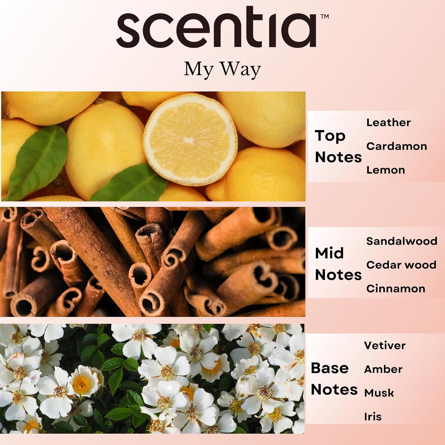 My Way Hotel Diffuser Oil - 20ml Luxury Scent Blend