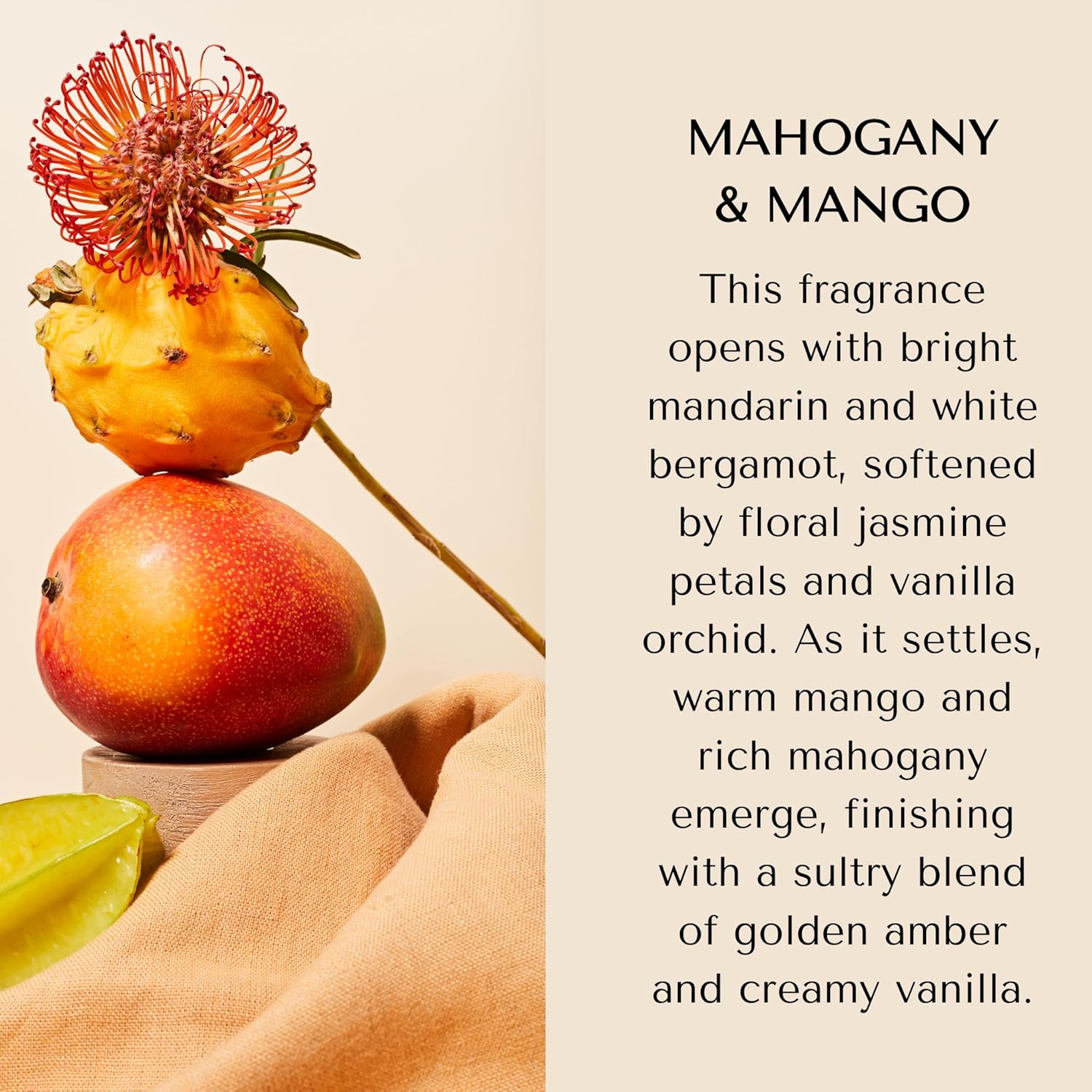 Hily Candles Mahogany Mango Car Diffuser 2 Pack