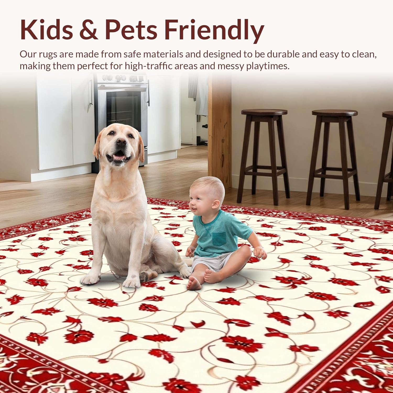 Ultra Soft 3x5 Area Rug Non Slip and Stain Resistant
